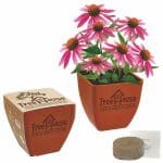 Custom Bamboo Blossom Kit w/Seeds & Pot