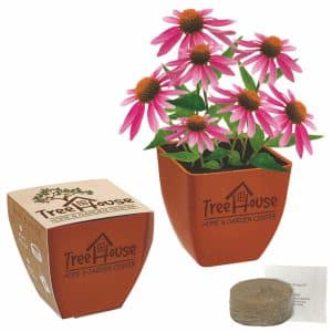 Custom Bamboo Blossom Kit w/Seeds & Pot