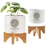 Custom Ceramic Planter Set