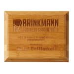 Custom Renewal Large Plaque Award - 2