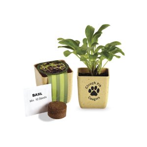 Custom Flower Pot Set w/Basil Seeds